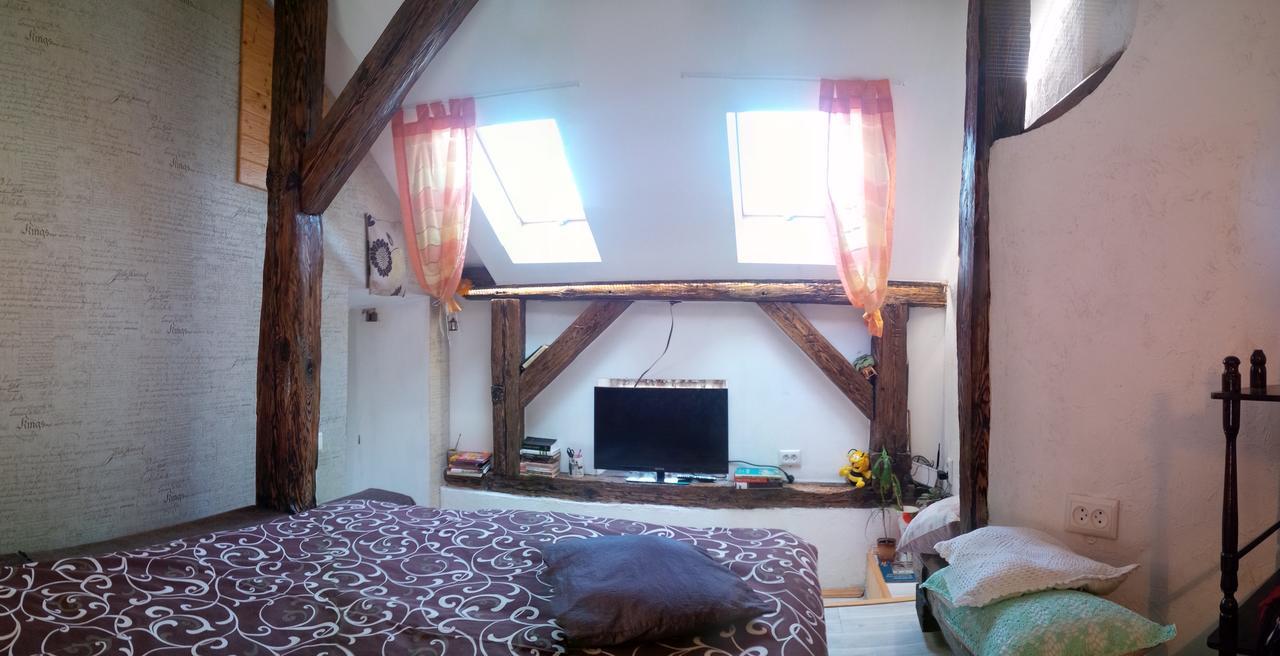 Lviv Amazing Rooftop Apartment 外观 照片