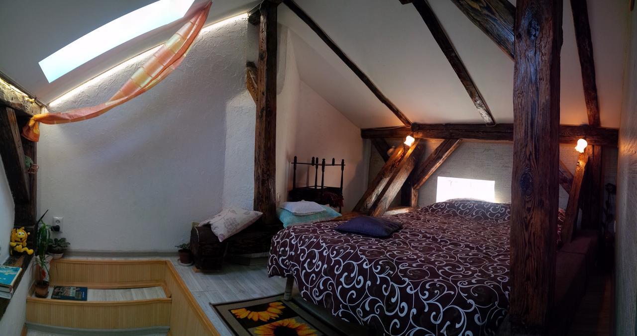 Lviv Amazing Rooftop Apartment 外观 照片