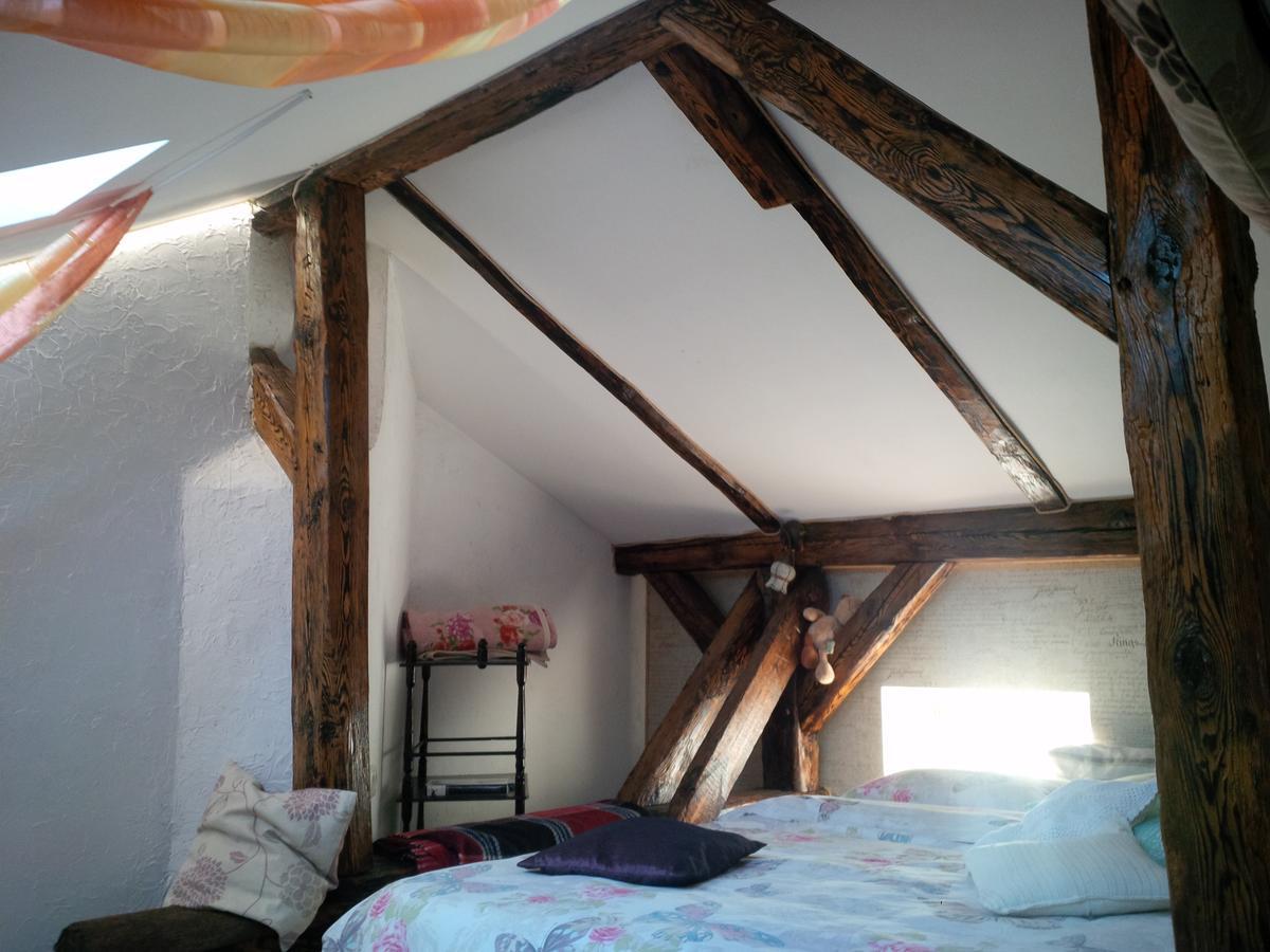 Lviv Amazing Rooftop Apartment 外观 照片