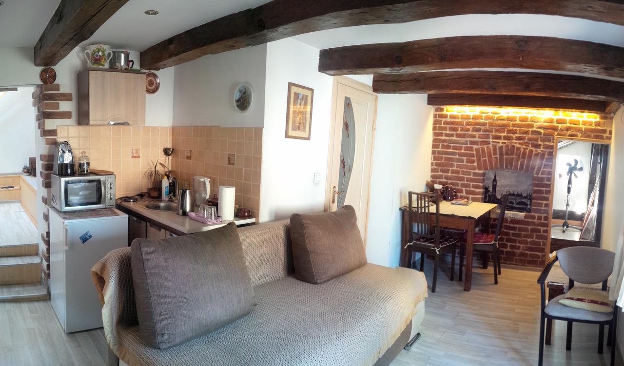 Lviv Amazing Rooftop Apartment 外观 照片