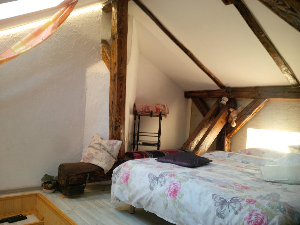 Lviv Amazing Rooftop Apartment 外观 照片