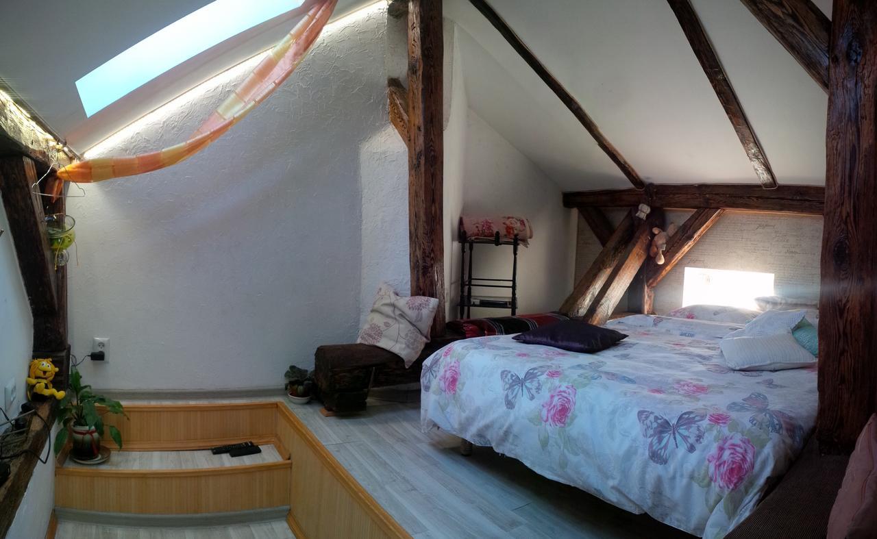Lviv Amazing Rooftop Apartment 外观 照片