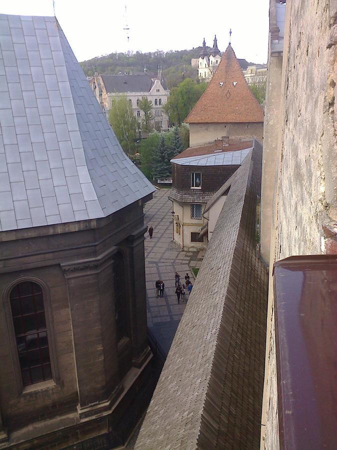 Lviv Amazing Rooftop Apartment 外观 照片